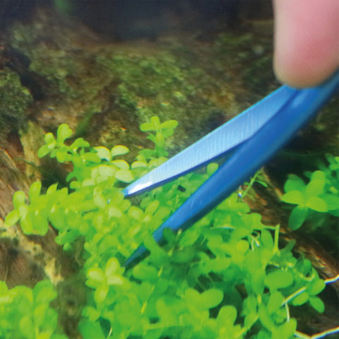 Image of NT Labs Procare Aquascaping Nano Scissors