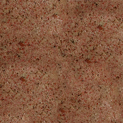 Tetra Holiday Menu Fish Food 30g