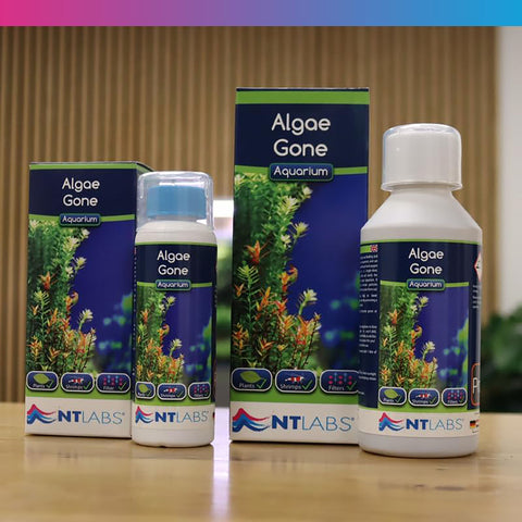 Image of NT Labs Aquarium Algae Gone 250ml