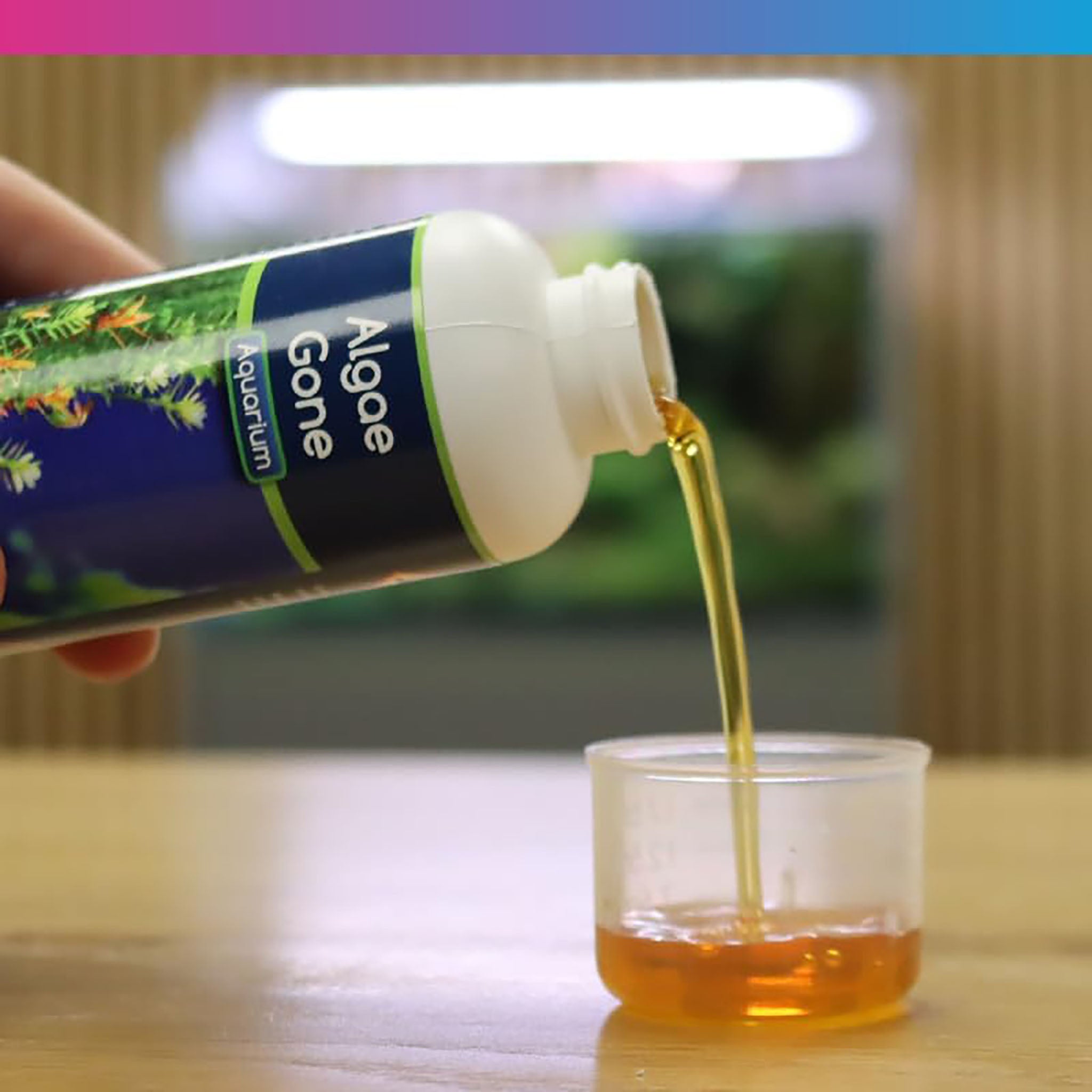 NT Labs Aquarium Algae Gone 250ml