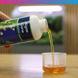 NT Labs Aquarium Algae Gone 100/250ml