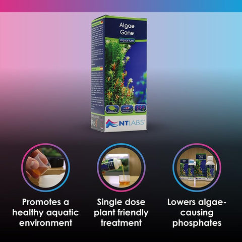 Image of NT Labs Aquarium Algae Gone 250ml