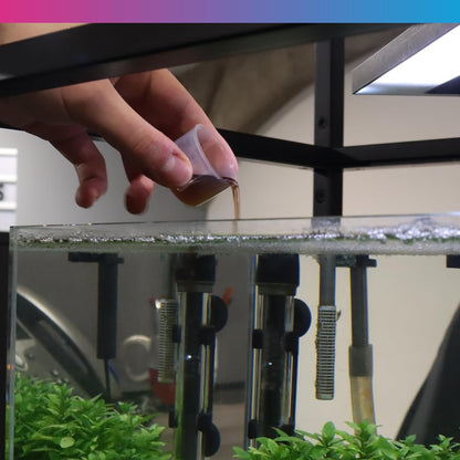 NT Labs Aquarium Filter Starter