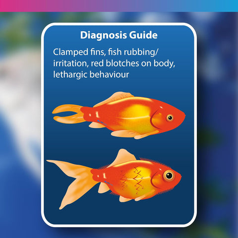 Image of NT Labs Aquarium Disease Solve 100ml