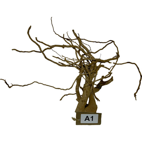 Image of Natural Red Moor Wood Root Driftwood for Aquarium/Terrarium (BW0001)
