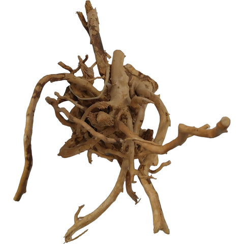 Image of Natural Red Moor Wood Root Driftwood for Aquarium/Terrarium B2