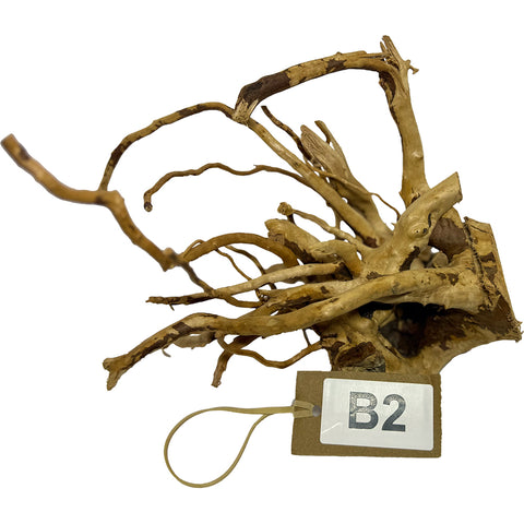 Image of Natural Red Moor Wood Root Driftwood for Aquarium/Terrarium (BW0002)