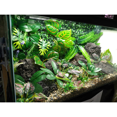 Image of Aquarium Decor Kit