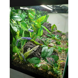 Aquarium Decor Kit