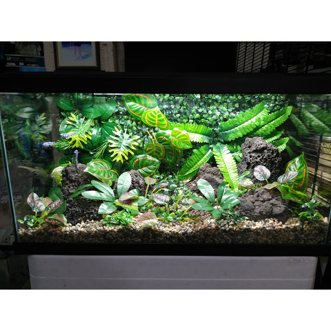 Image of Aquarium Decor Kit