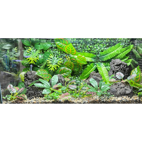 Image of Aquarium Decor Kit