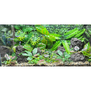 Aquarium Decor Kit