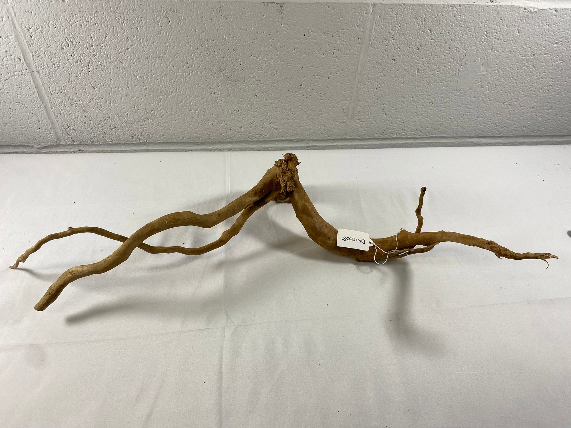 Natural Red Moor Wood Root Driftwood Aquarium/Terrarium D58xW24xH14 (DW10008)