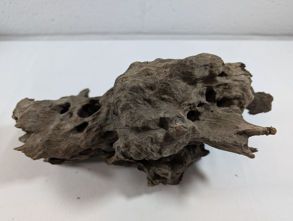 Natural Dragon Driftwood Wood Reptile Aquascape Aquarium D28xW11xH12 (DW10019)