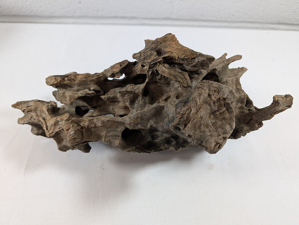 Natural Dragon Driftwood Wood Reptile Aquascape Aquarium D28xW11xH12 (DW10019)