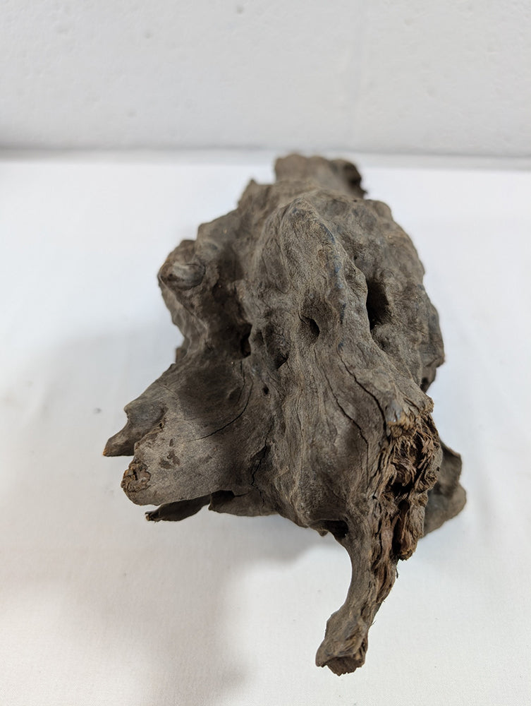 Natural Dragon Driftwood Wood Reptile Aquascape Aquarium D28xW11xH12 (DW10019)