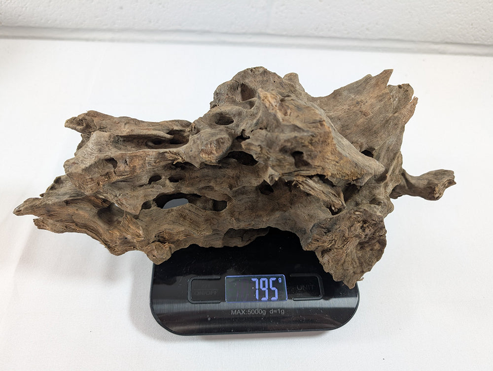 Natural Dragon Driftwood Wood Reptile Aquascape Aquarium D28xW11xH12 (DW10019)