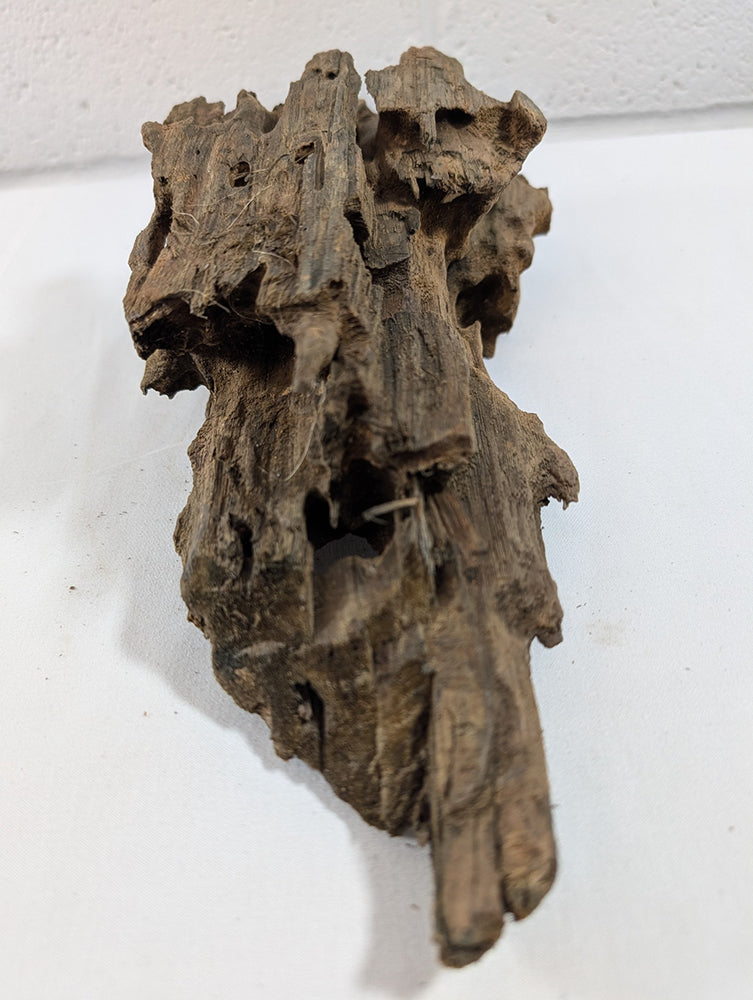 Natural Dragon Driftwood Wood Reptile Aquascape Aquarium D27xW11xH9 (DW10020)