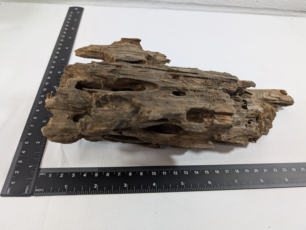 Natural Dragon Driftwood Wood Reptile Aquascape Aquarium D27xW11xH9 (DW10020)