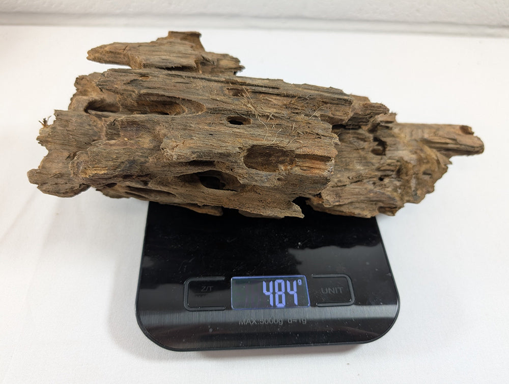 Natural Dragon Driftwood Wood Reptile Aquascape Aquarium D27xW11xH9 (DW10020)