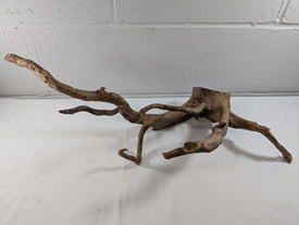 Natural Dark Moor Wood Root Driftwood Aquarium/Terrarium D67xW30xH23 (DW10026)