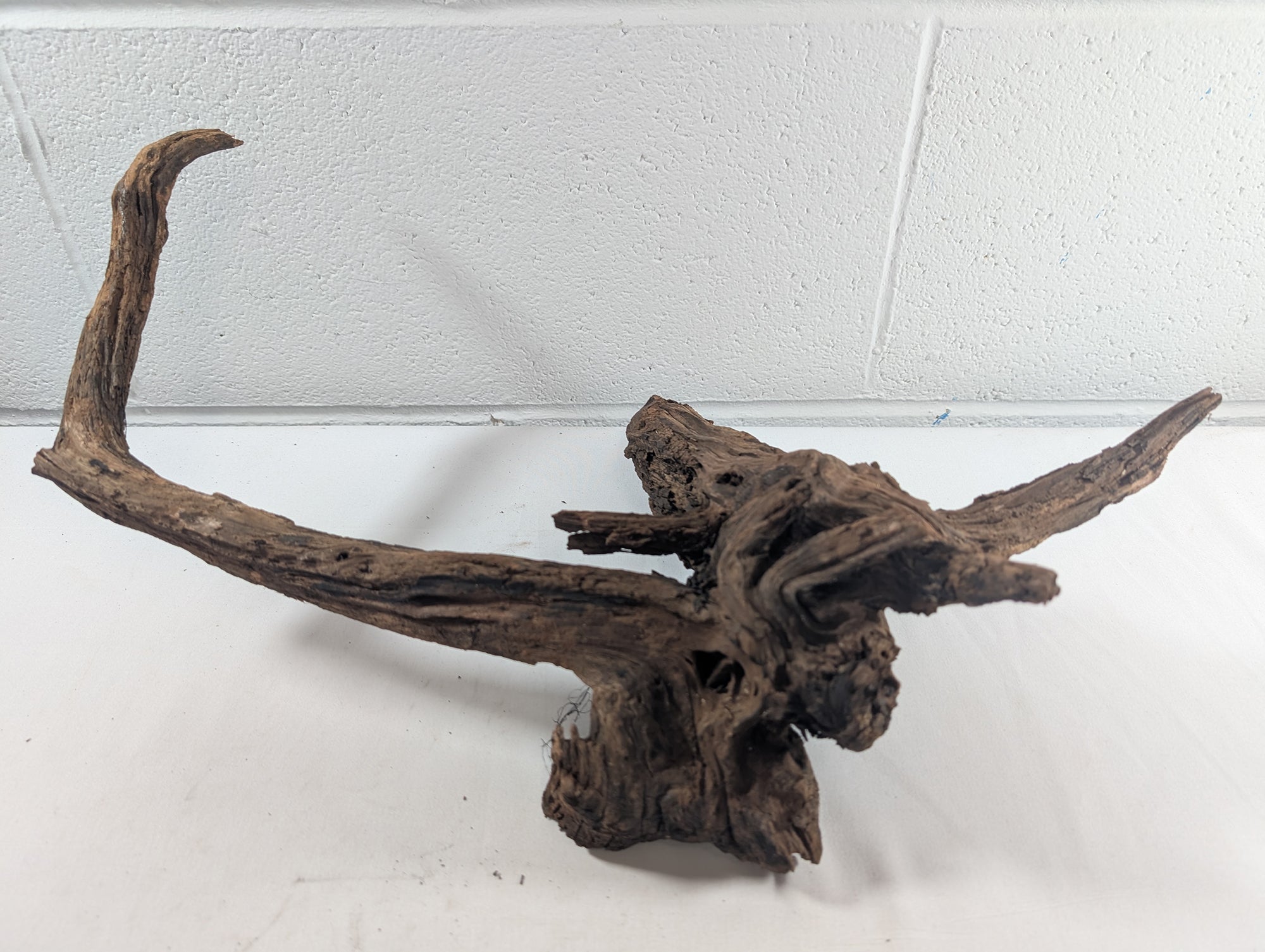 Natural River Driftwood Wood Reptile Aquascape Aquarium D45xW26xH17 (DW10027)