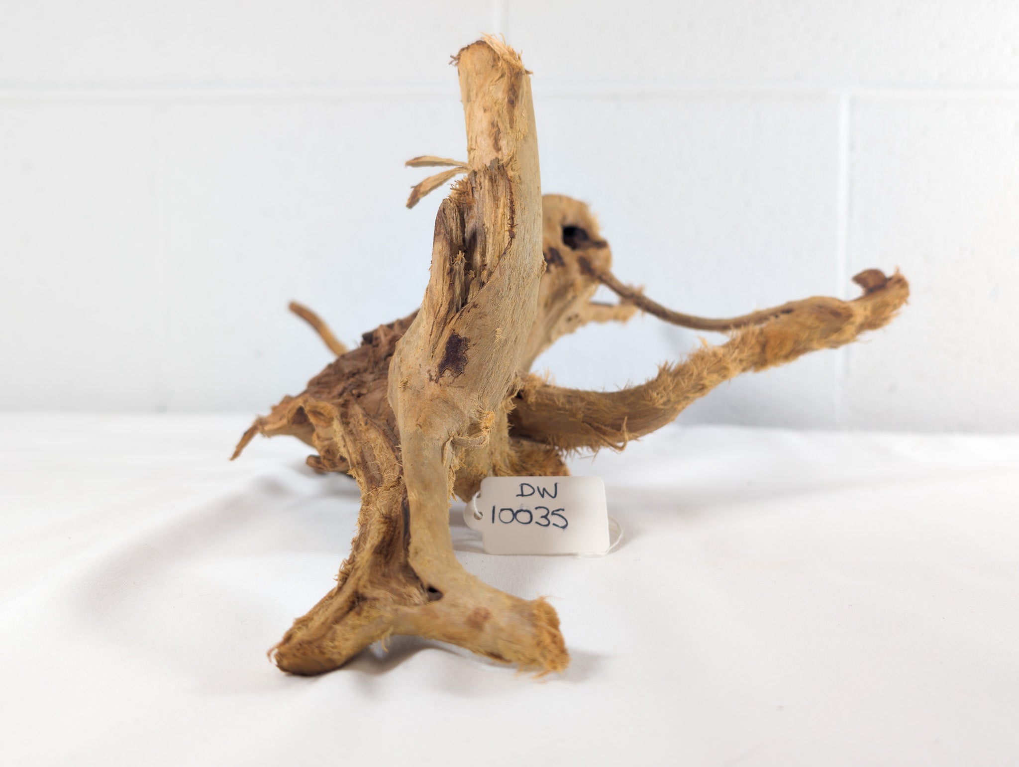 Natural Red Moor Wood Root Driftwood Aquarium/Terrarium D40xW20xH18 (DW10035)