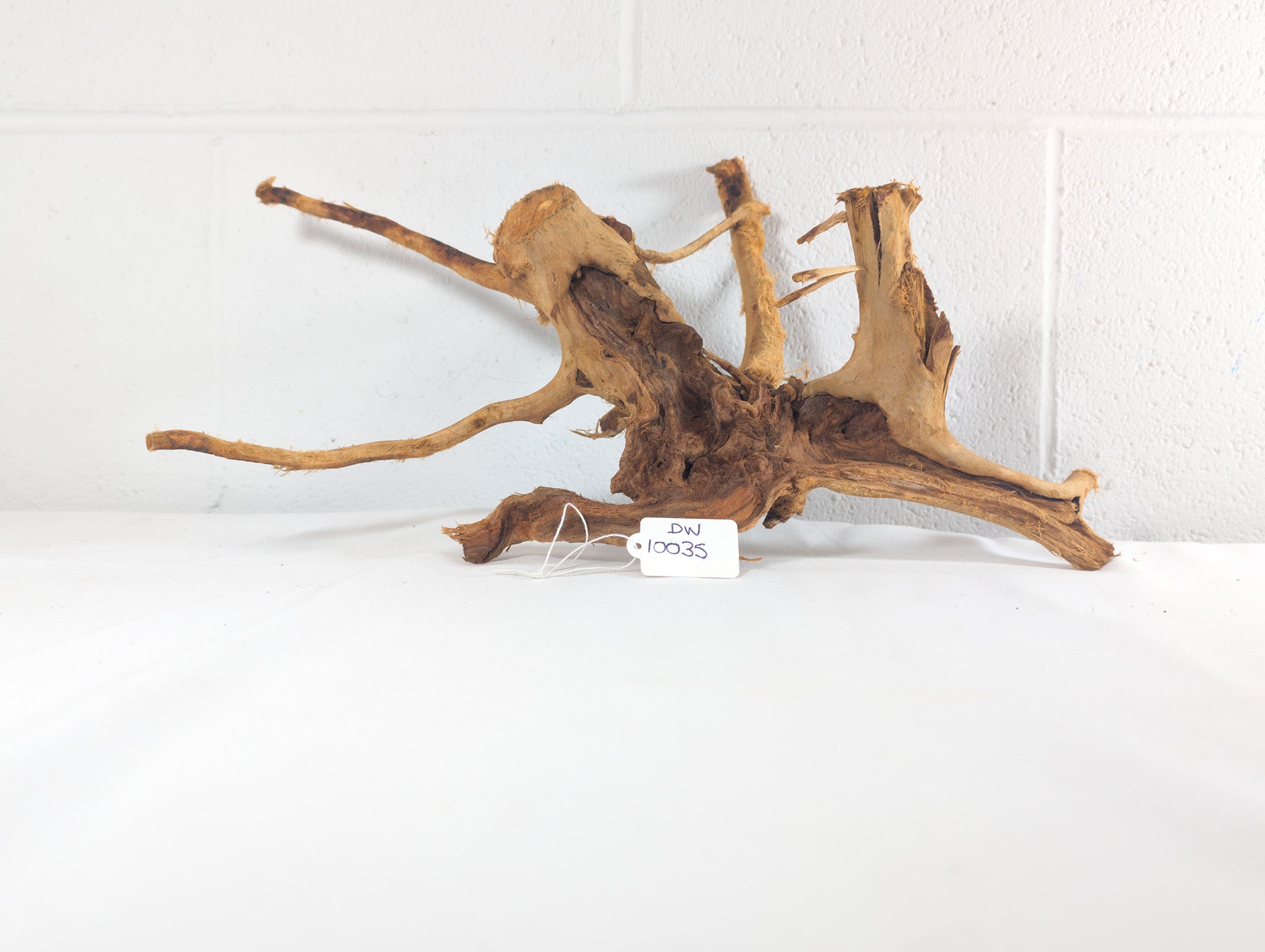 Natural Red Moor Wood Root Driftwood Aquarium/Terrarium D40xW20xH18 (DW10035)