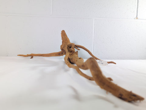 Image of Natural Red Moor Wood Root Driftwood Aquarium/Terrarium D60xW20xH15 (DW10036)
