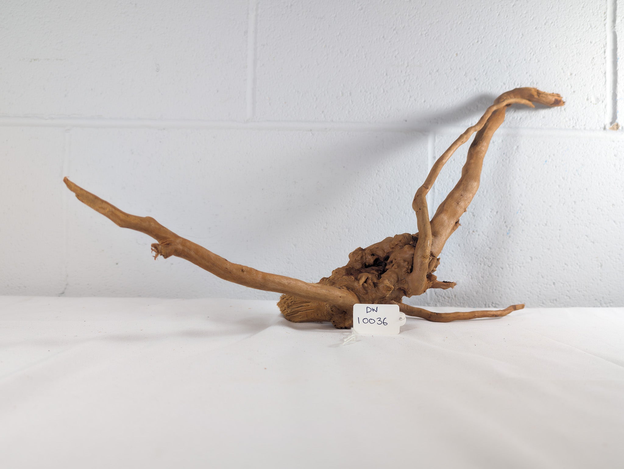 Natural Red Moor Wood Root Driftwood Aquarium/Terrarium D60xW20xH15 (DW10036)