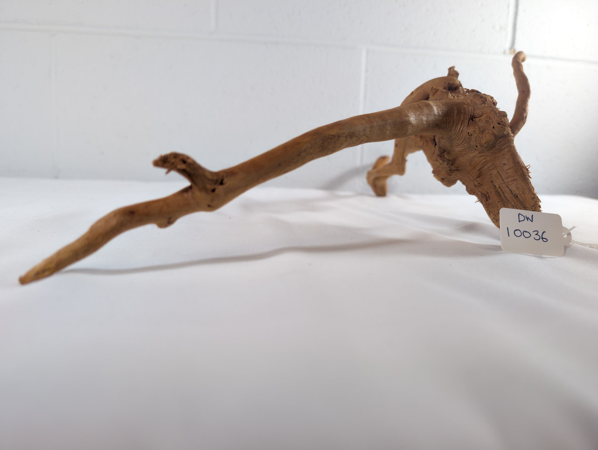 Natural Red Moor Wood Root Driftwood Aquarium/Terrarium D60xW20xH15 (DW10036)