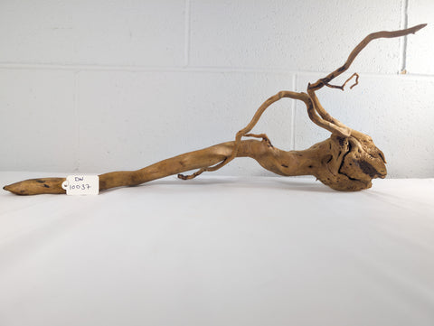 Image of Natural Red Moor Wood Root Driftwood Aquarium/Terrarium D55xW42xH13 (DW10037)