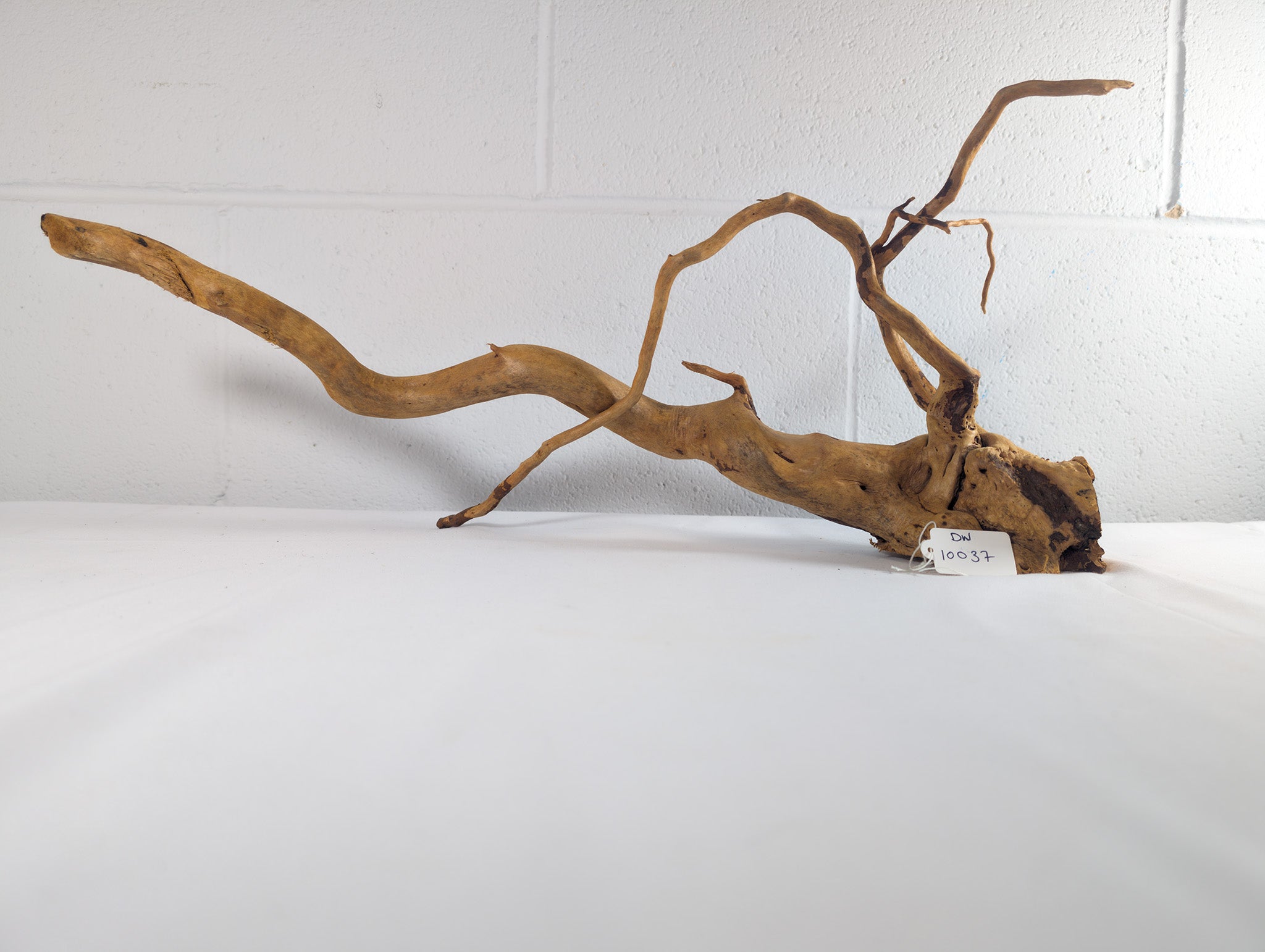 Natural Red Moor Wood Root Driftwood Aquarium/Terrarium D55xW42xH13 (DW10037)