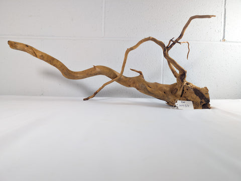 Image of Natural Red Moor Wood Root Driftwood Aquarium/Terrarium D55xW42xH13 (DW10037)