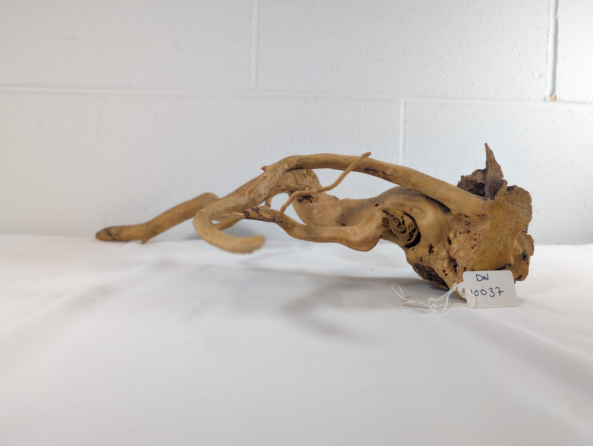 Natural Red Moor Wood Root Driftwood Aquarium/Terrarium D55xW42xH13 (DW10037)