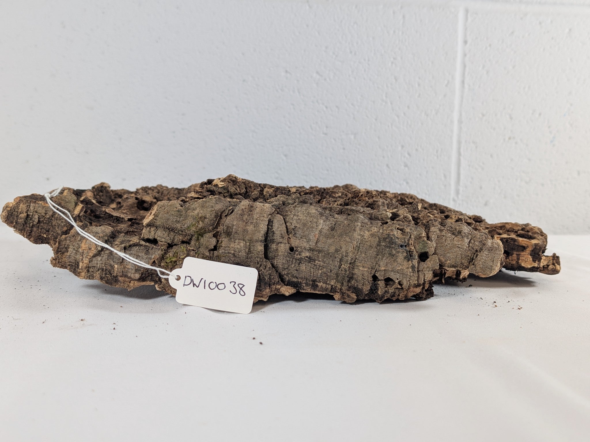 Cork Bark Plate for Terrariums, Vivariums & Aquariums – Natural Climbing & Hide Decor 33x28x5 (DW10038)