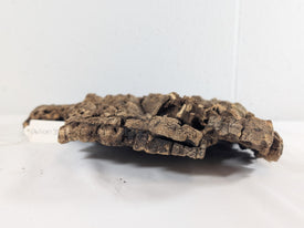 Cork Bark Plate for Terrariums, Vivariums & Aquariums – Natural Climbing & Hide Decor 33x28x5 (DW10038)