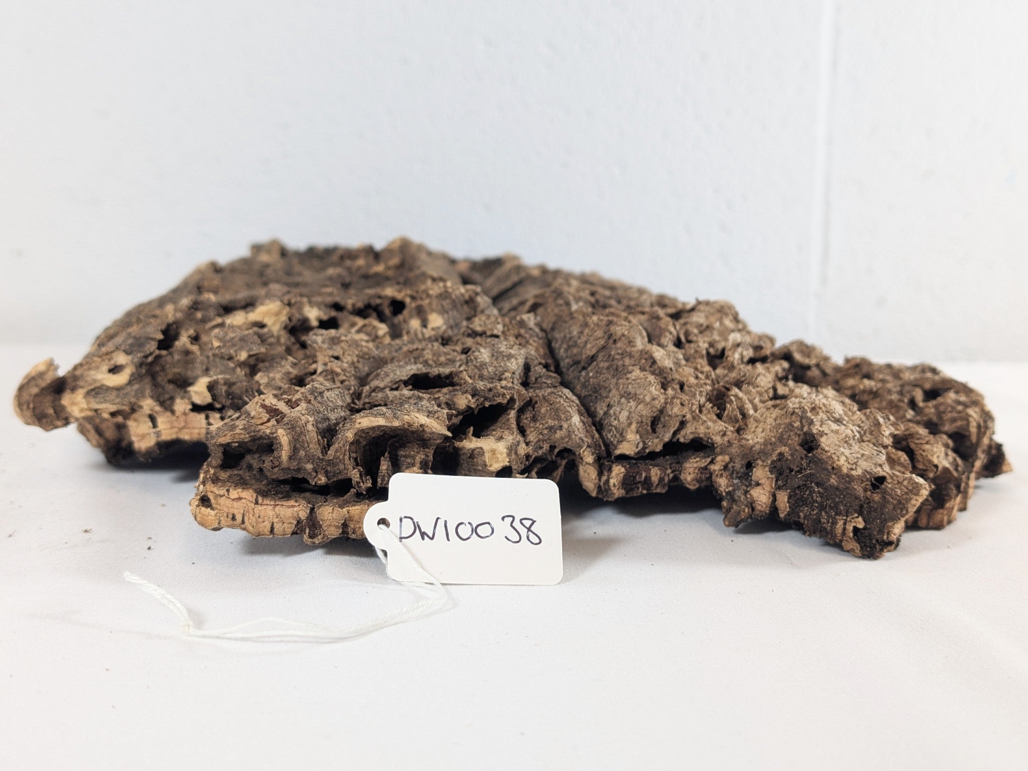 Cork Bark Plate for Terrariums, Vivariums & Aquariums – Natural Climbing & Hide Decor 33x28x5 (DW10038)