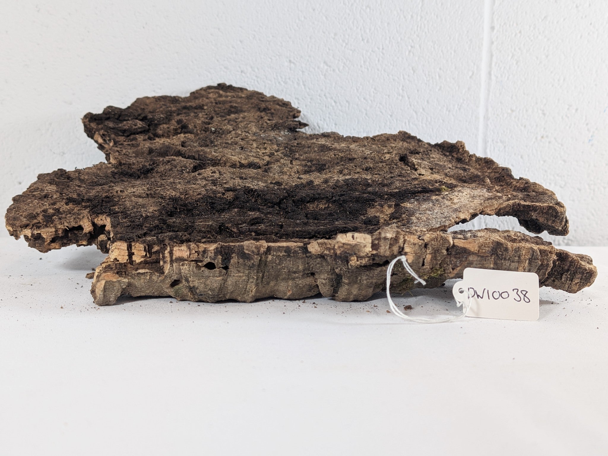 Cork Bark Plate for Terrariums, Vivariums & Aquariums – Natural Climbing & Hide Decor 33x28x5 (DW10038)