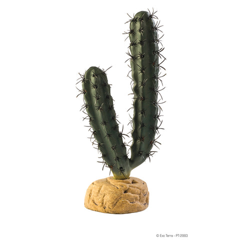 Image of Exo Terra Desert Plant - Finger Cactus