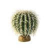 Exo Terra Desert Plant - Barrel Cactus - Medium