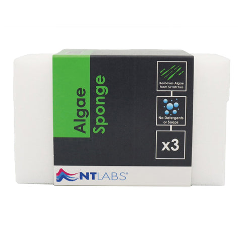 Image of NT Labs Procare Algae Sponge (x3)