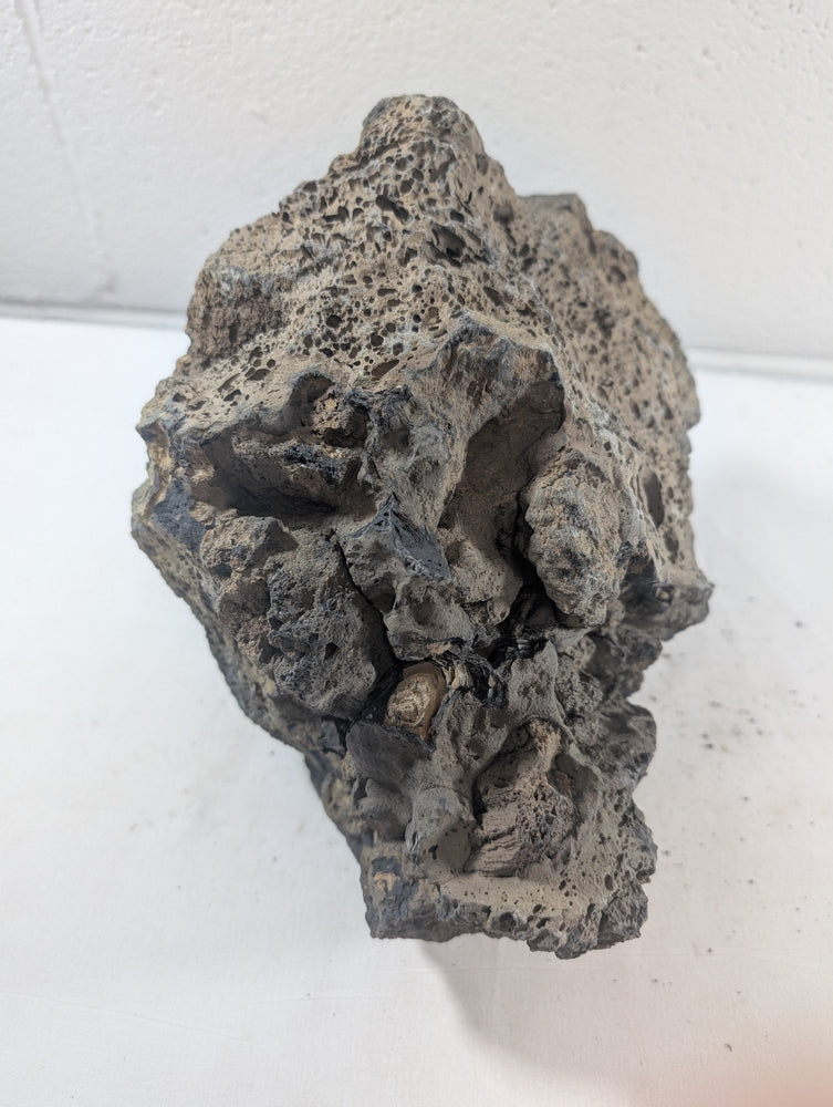 Blue Fairy Rock Aquascaping Premium Quality IWAGUMI Aquarium x1 6.30kg (RC10060)