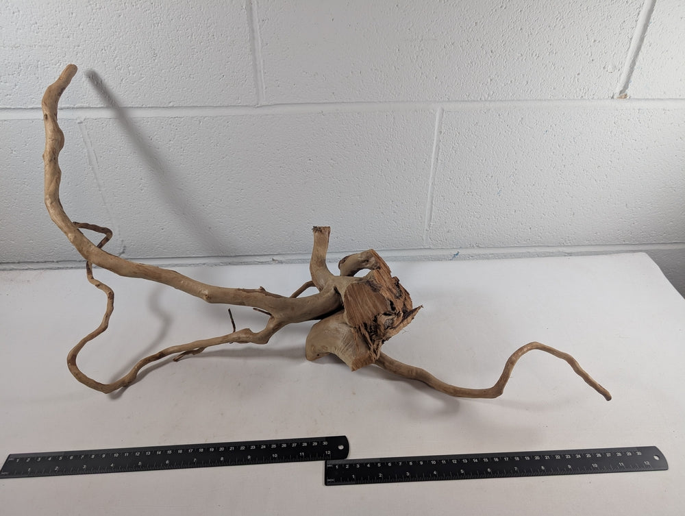 Natural Red Moor Wood Root Driftwood Aquarium/Terrarium D58xW24xH29 (DW10031)