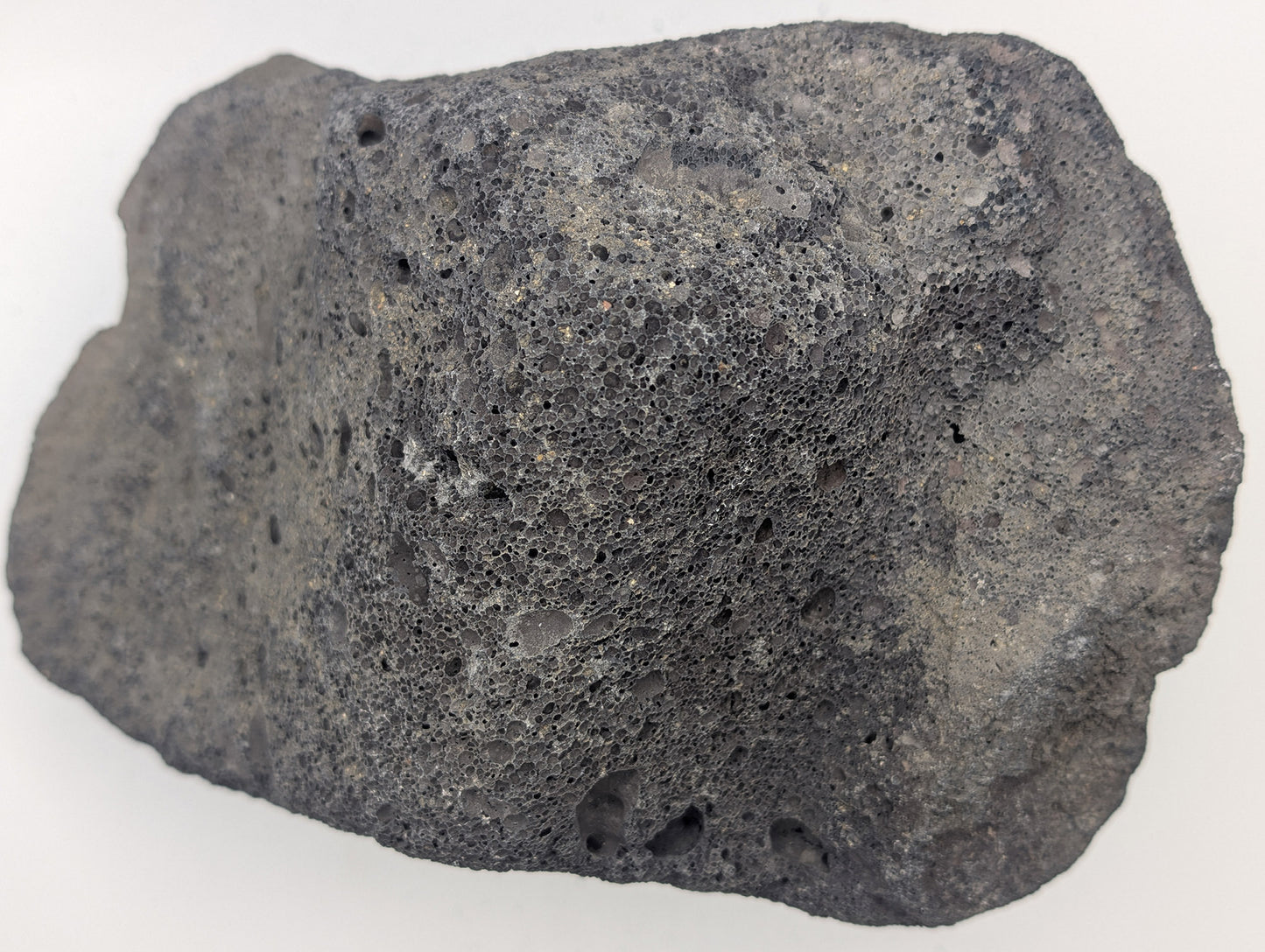 Black Lava Rock Volcanic Decoration Aquascaping Aquarium 1 Piece 2.9kg (RC10071)