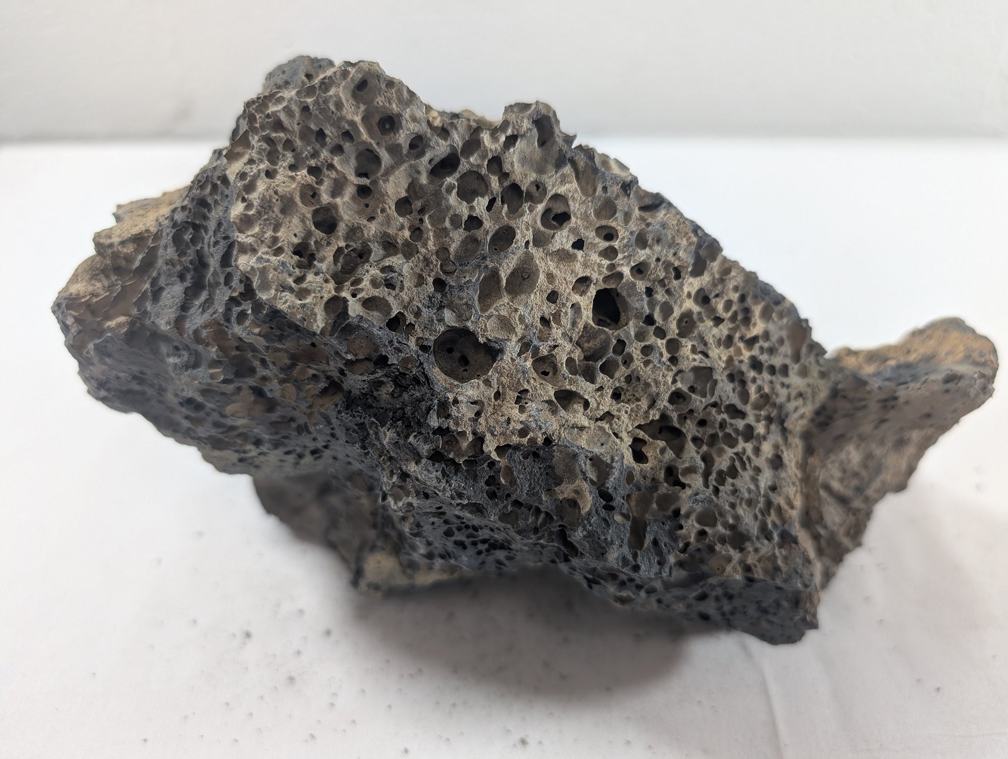 Blue Fairy Rock Aquascaping Premium Quality IWAGUMI Aquarium x1 1.7kg (RC10042)