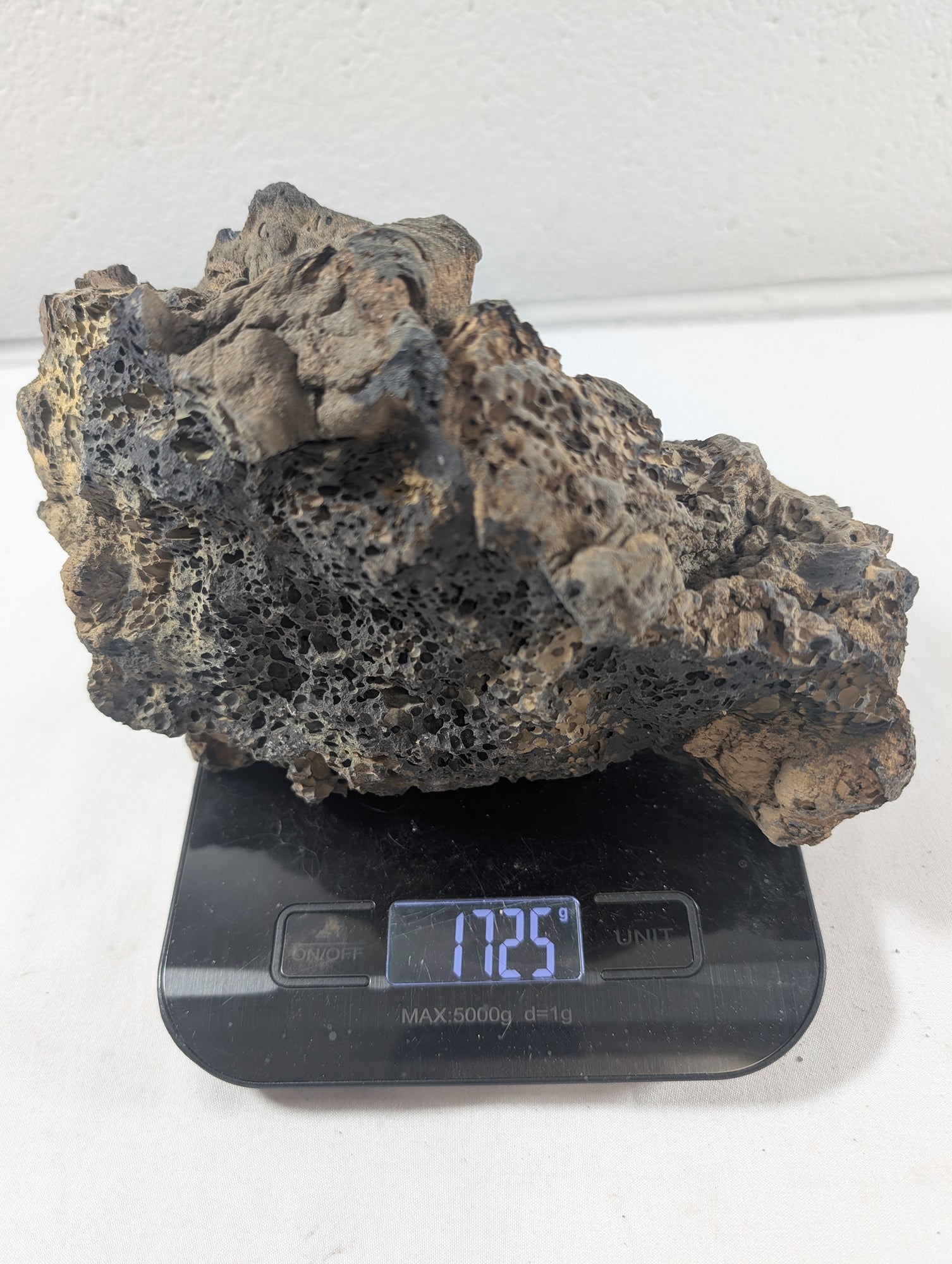 Blue Fairy Rock Aquascaping Premium Quality IWAGUMI Aquarium x1 1.7kg (RC10042)