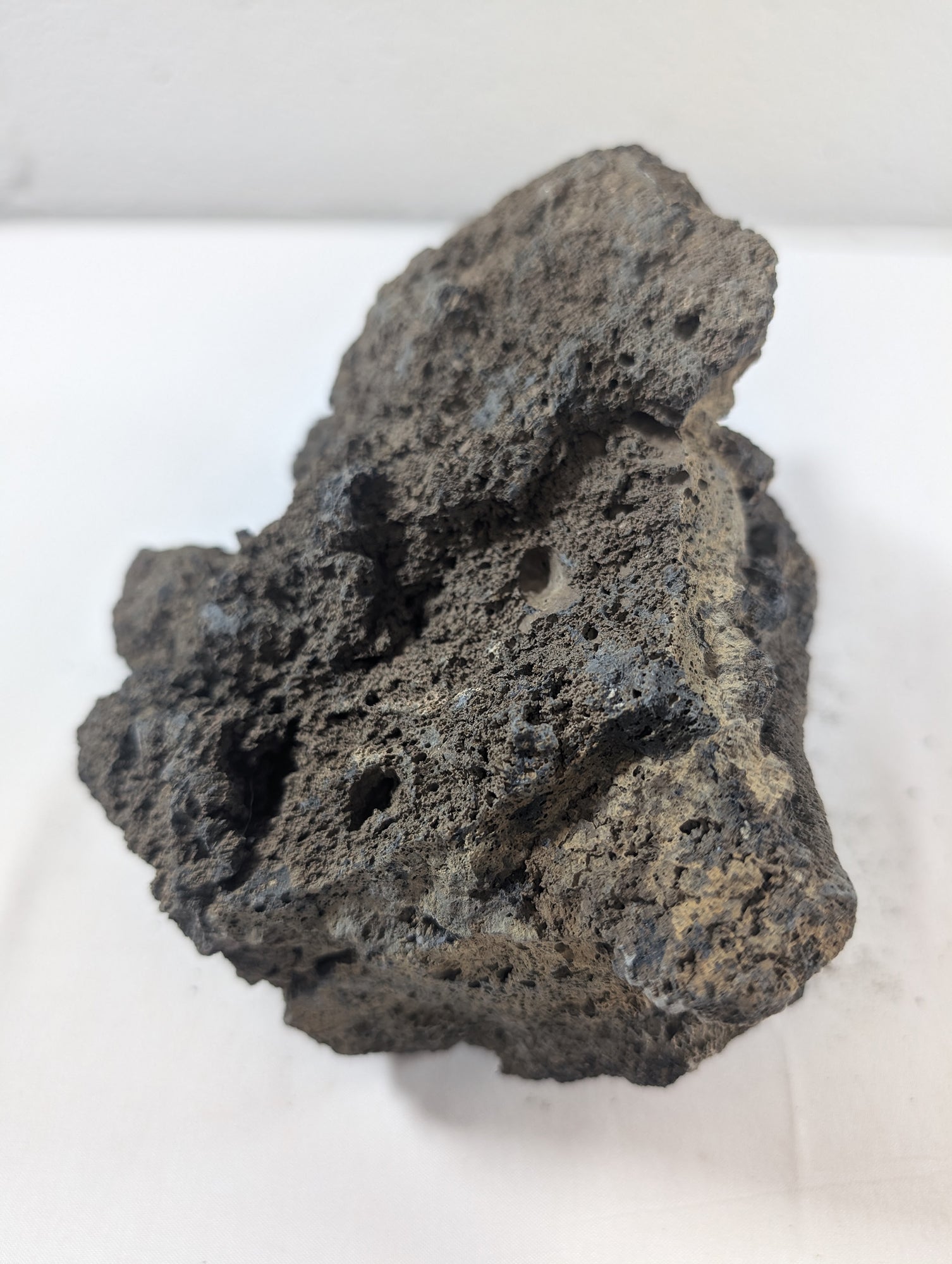 Blue Fairy Rock Aquascaping Premium Quality IWAGUMI Aquarium x1 1.5kg (RC10043)