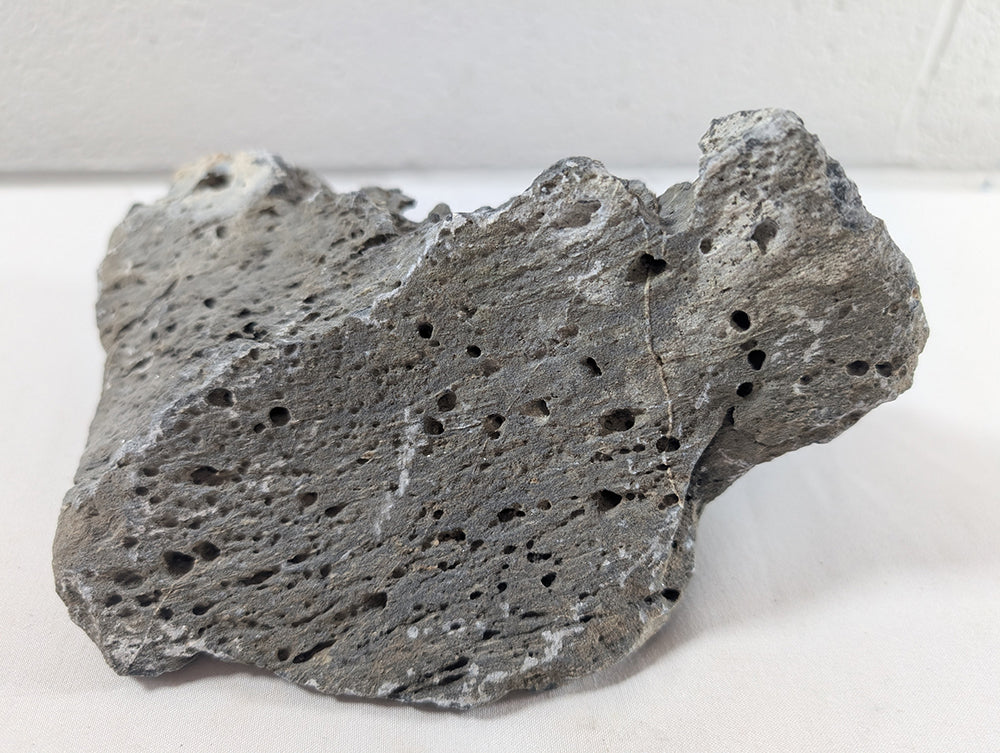 Seiryu Rock Aquascaping Premium Quality IWAGUMI Aquarium x1 1.5kg (RC10047)