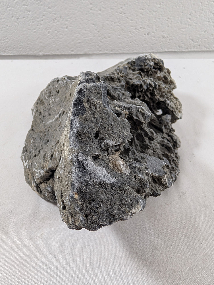 Seiryu Rock Aquascaping Premium Quality IWAGUMI Aquarium x1 1.5kg (RC10047)